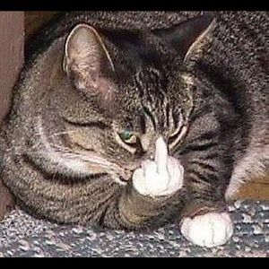 Meet your Posher, Nataly